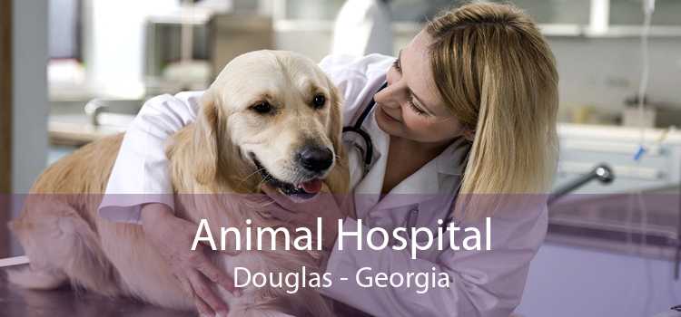 Animal Hospital Douglas - Georgia