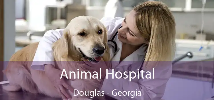 Animal Hospital Douglas - Georgia