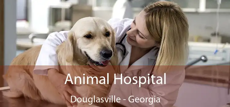 Animal Hospital Douglasville - Georgia