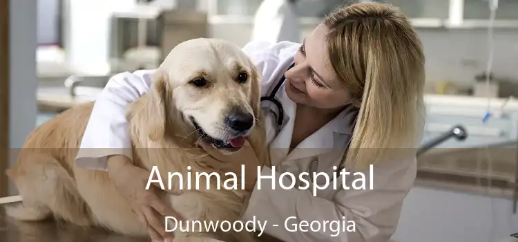 Animal Hospital Dunwoody - Georgia