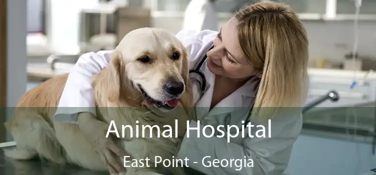 Animal Hospital East Point - Georgia