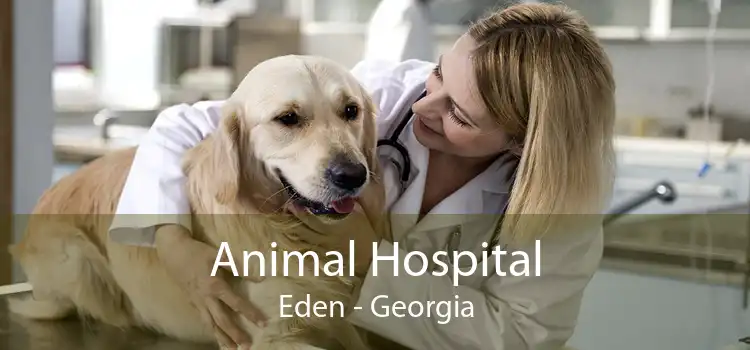 Animal Hospital Eden - Georgia