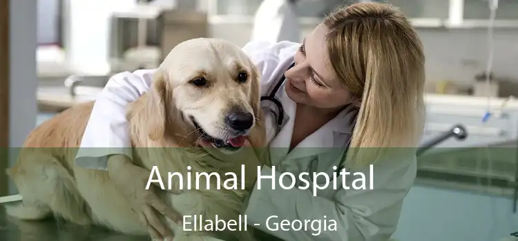 Animal Hospital Ellabell - Georgia