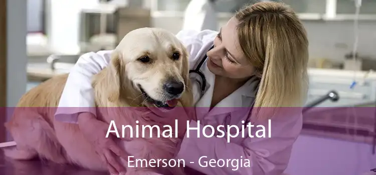 Animal Hospital Emerson - Georgia