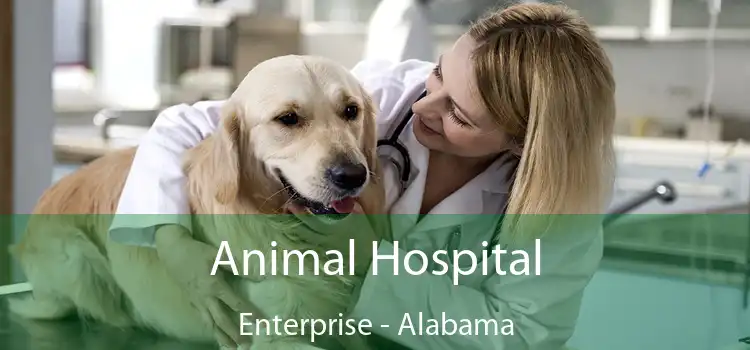 Animal Hospital Enterprise - Alabama