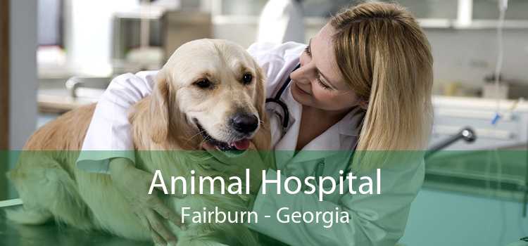 Animal Hospital Fairburn - Georgia