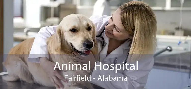 Animal Hospital Fairfield - Alabama