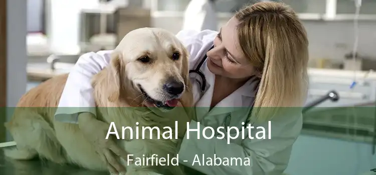 Animal Hospital Fairfield - Alabama