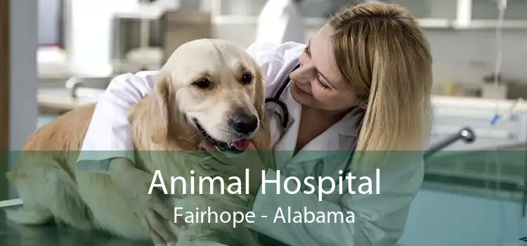 Animal Hospital Fairhope - Alabama
