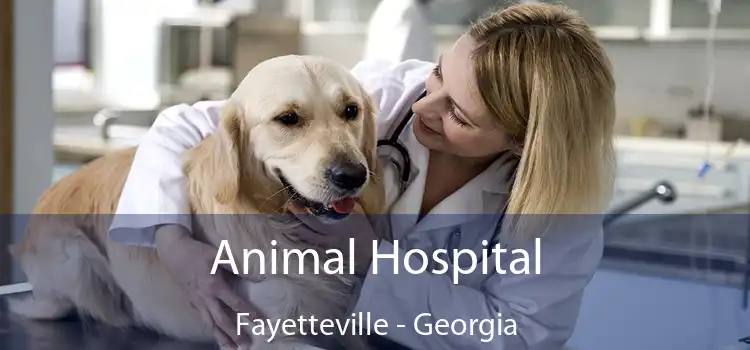 Animal Hospital Fayetteville - Georgia