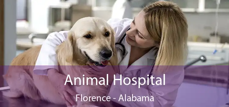 Animal Hospital Florence - Alabama