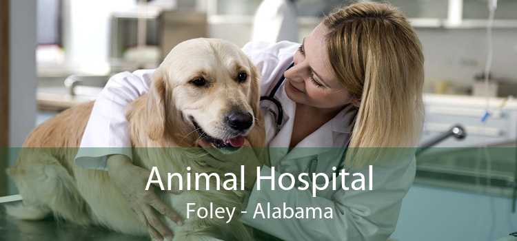 Animal Hospital Foley - Alabama