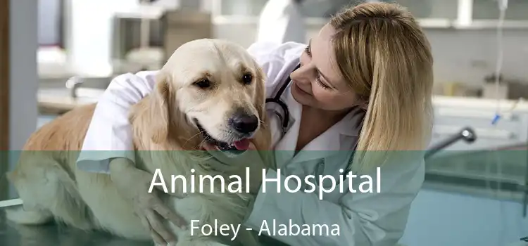 Animal Hospital Foley - Alabama