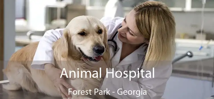 Animal Hospital Forest Park - Georgia