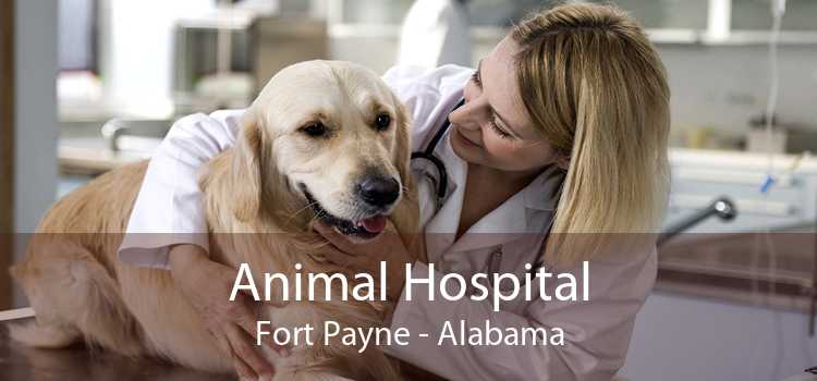 Animal Hospital Fort Payne - Alabama