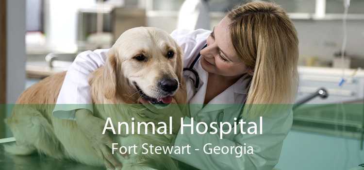 Animal Hospital Fort Stewart - Georgia