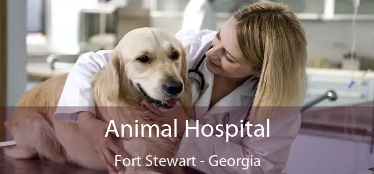 Animal Hospital Fort Stewart - Georgia