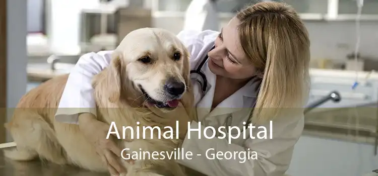 Animal Hospital Gainesville - Georgia