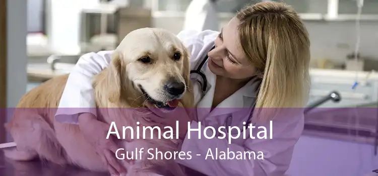 Animal Hospital Gulf Shores - Alabama
