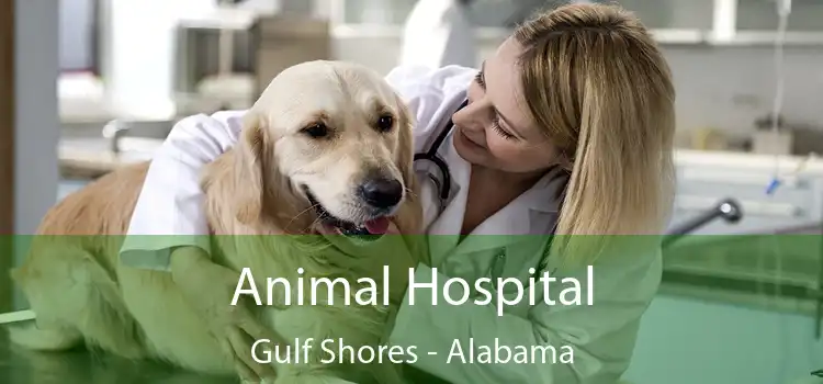 Animal Hospital Gulf Shores - Alabama