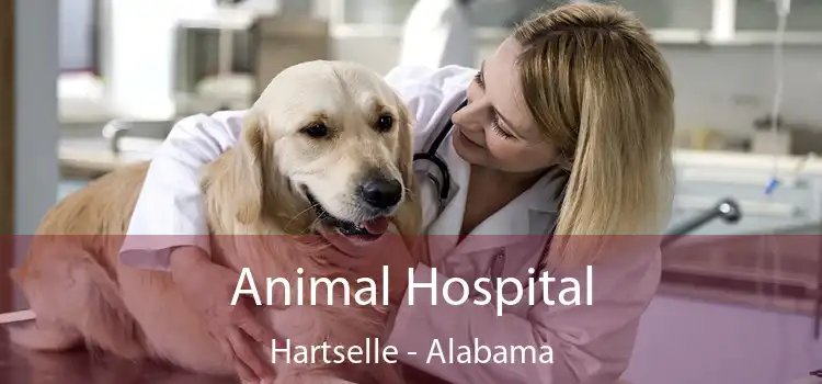 Animal Hospital Hartselle - Alabama