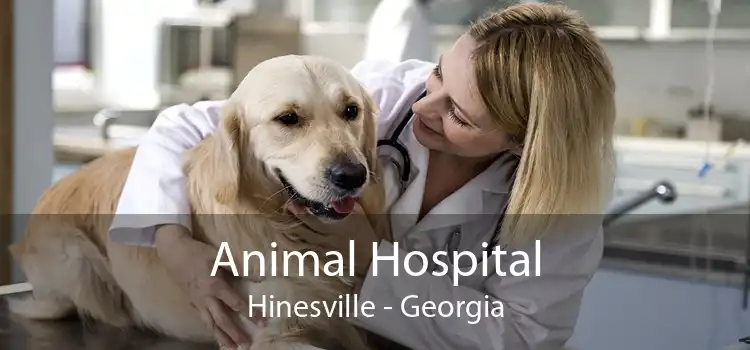 Animal Hospital Hinesville - Georgia