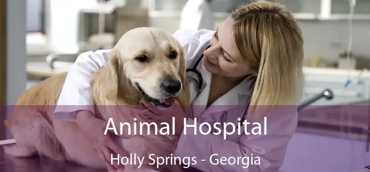 Animal Hospital Holly Springs - Georgia