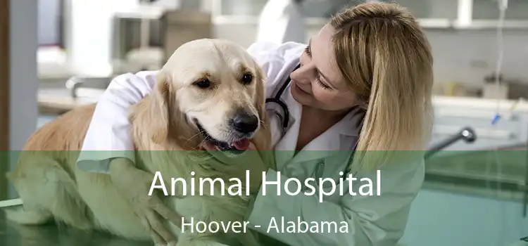 Animal Hospital Hoover - Alabama