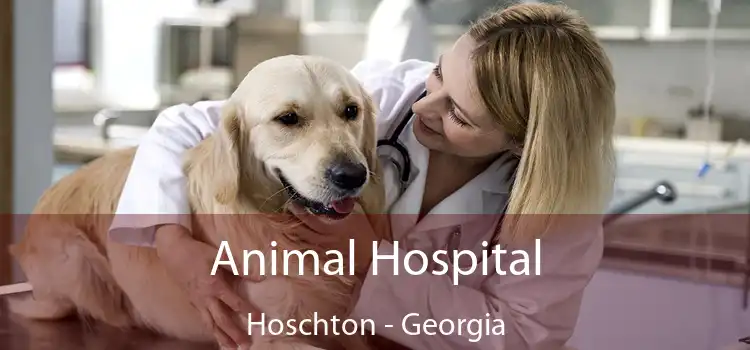 Animal Hospital Hoschton - Georgia