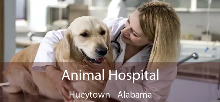 Animal Hospital Hueytown - Alabama