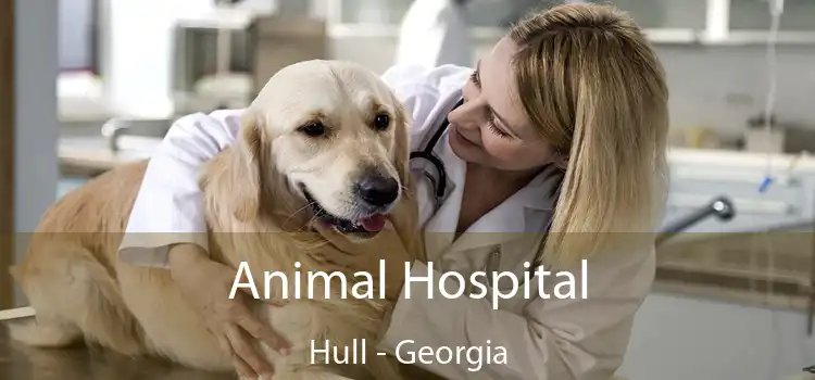 Animal Hospital Hull - Georgia