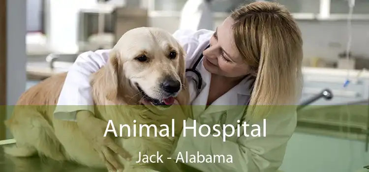 Animal Hospital Jack - Alabama