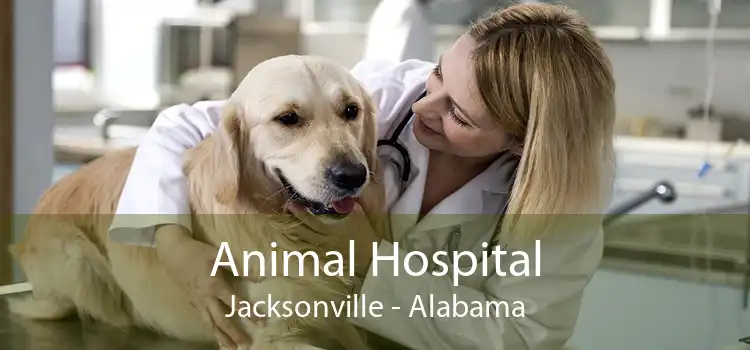 Animal Hospital Jacksonville - Alabama