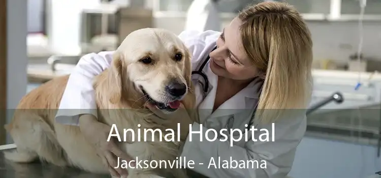 Animal Hospital Jacksonville - Alabama