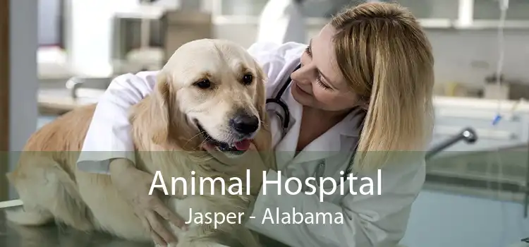 Animal Hospital Jasper - Alabama