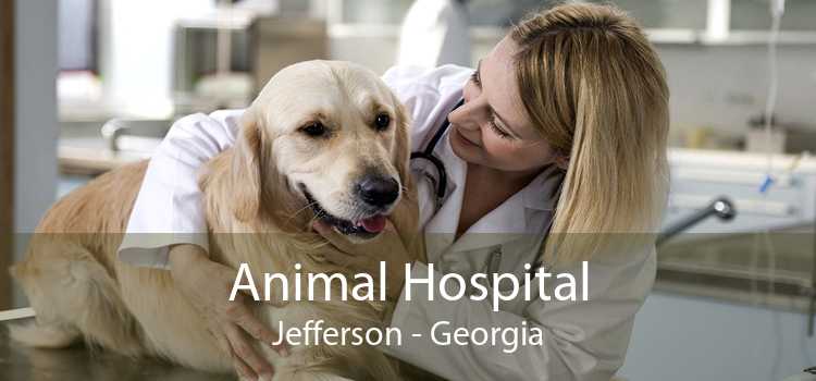Animal Hospital Jefferson - Georgia