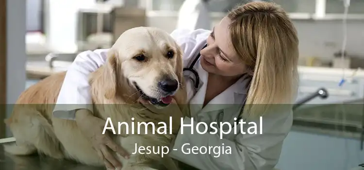 Animal Hospital Jesup - Georgia