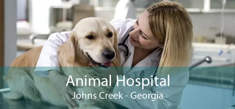 Animal Hospital Johns Creek - Georgia