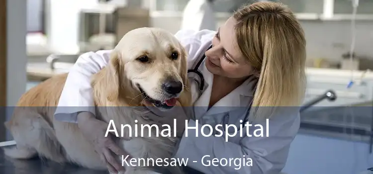 Animal Hospital Kennesaw - Georgia