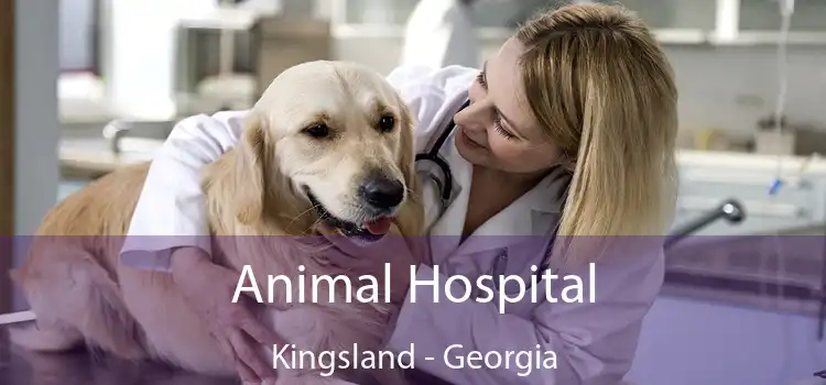 Animal Hospital Kingsland - Georgia