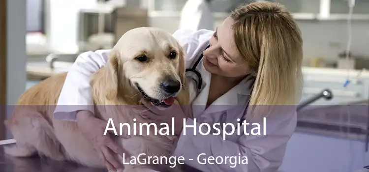 Animal Hospital LaGrange - Georgia