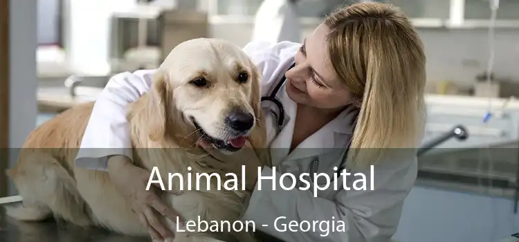 Animal Hospital Lebanon - Georgia