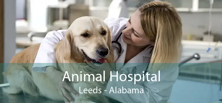 Animal Hospital Leeds - Alabama