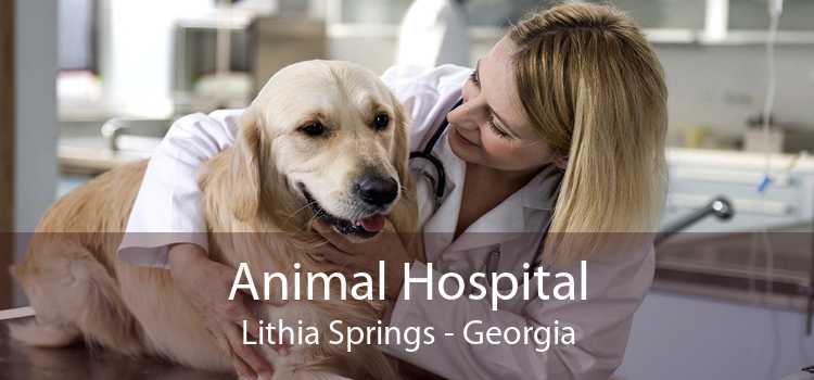 Animal Hospital Lithia Springs - Georgia