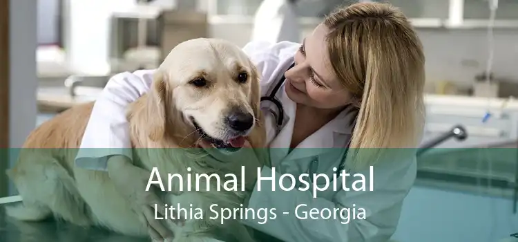 Animal Hospital Lithia Springs - Georgia