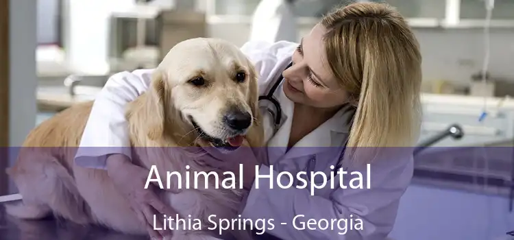 Animal Hospital Lithia Springs - Georgia