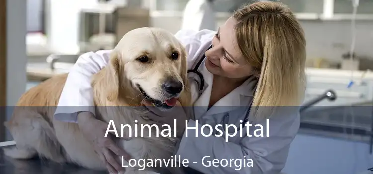 Animal Hospital Loganville - Georgia