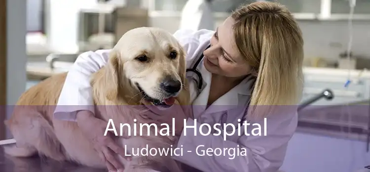 Animal Hospital Ludowici - Georgia