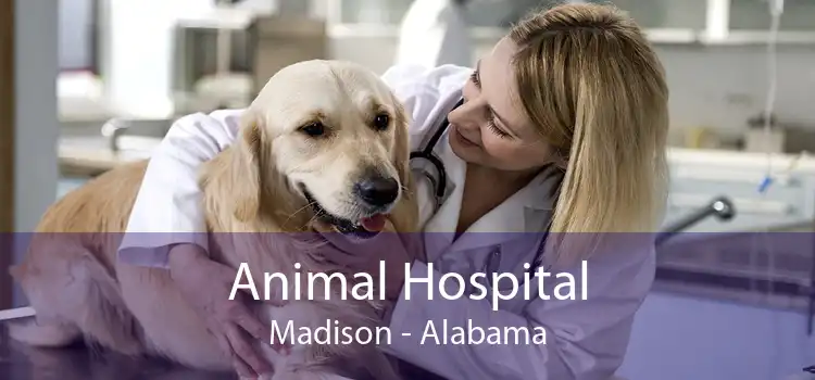 Animal Hospital Madison - Alabama