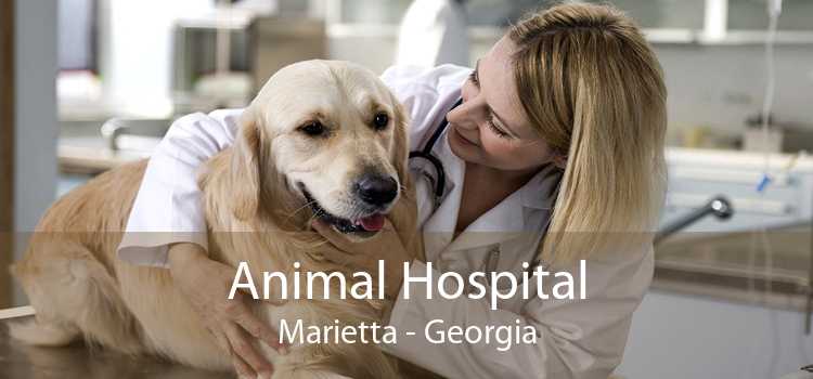 Animal Hospital Marietta - Georgia
